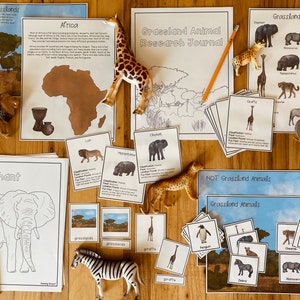 Grassland Animals Unit: Science Pack