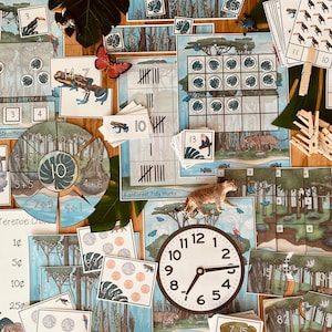 Rainforest Unit: Math Pack
