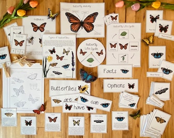 Schmetterling Einheit: Science Pack