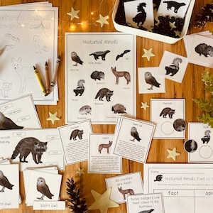Nocturnal Animals Unit: Science Pack - Etsy Canada Nocturnal Animals Unit: Science Pack - Etsy Canada