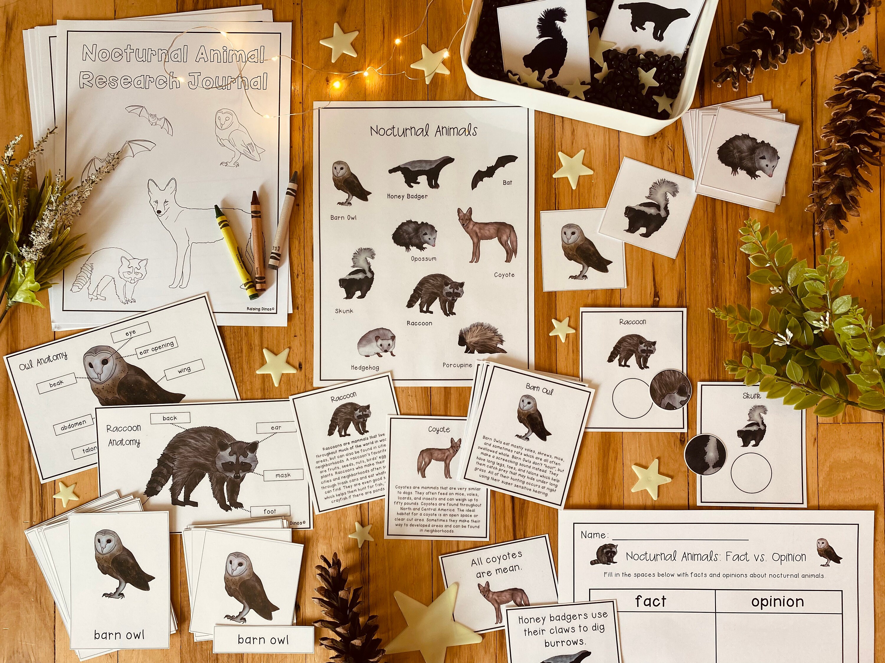Nocturnal Animals Unit: Science Pack - Etsy Nocturnal Animals Unit: Science Pack - Etsy