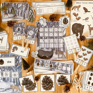 Puede incluir: Un conjunto de recursos educativos para niños con temática de bosque de invierno. El conjunto incluye una variedad de actividades, como juegos de emparejamiento, juegos de conteo y actividades de construcción de palabras. Los recursos están diseñados para ayudar a los niños a aprender sobre animales de invierno, palabras de invierno y conceptos matemáticos. El conjunto incluye imágenes de un ciervo de cola blanca, un zorro rojo, un castor, una ardilla, una ardilla listada, un ciervo, un oso y un copo de nieve.