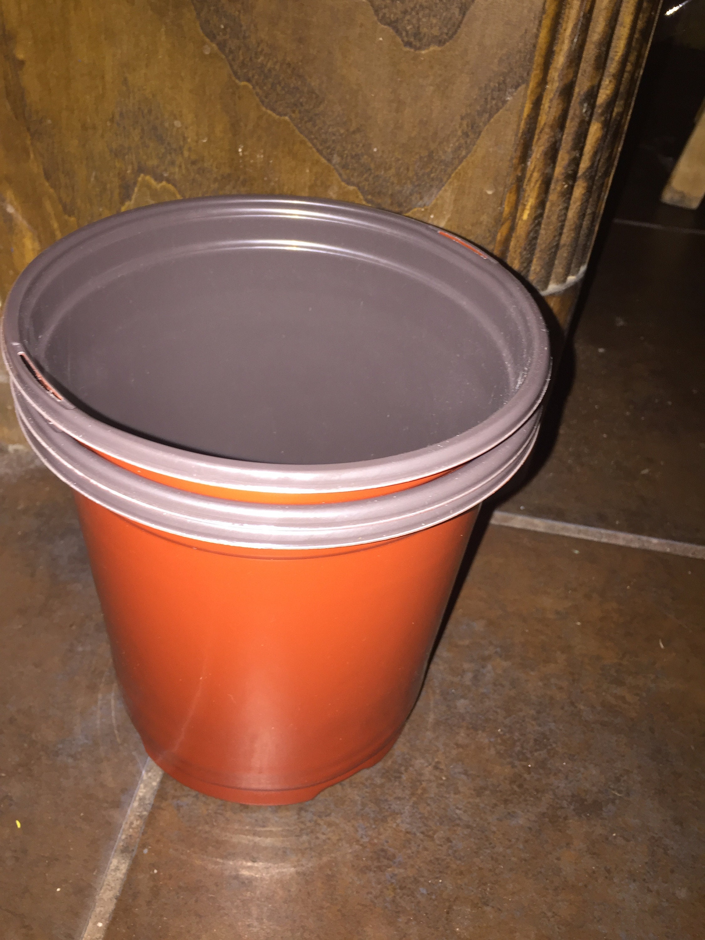 5 1 gallon Potsfive 1 Gallon Pots Etsy 5-1-gallon-potsfive-1-gallon-pots-etsy
