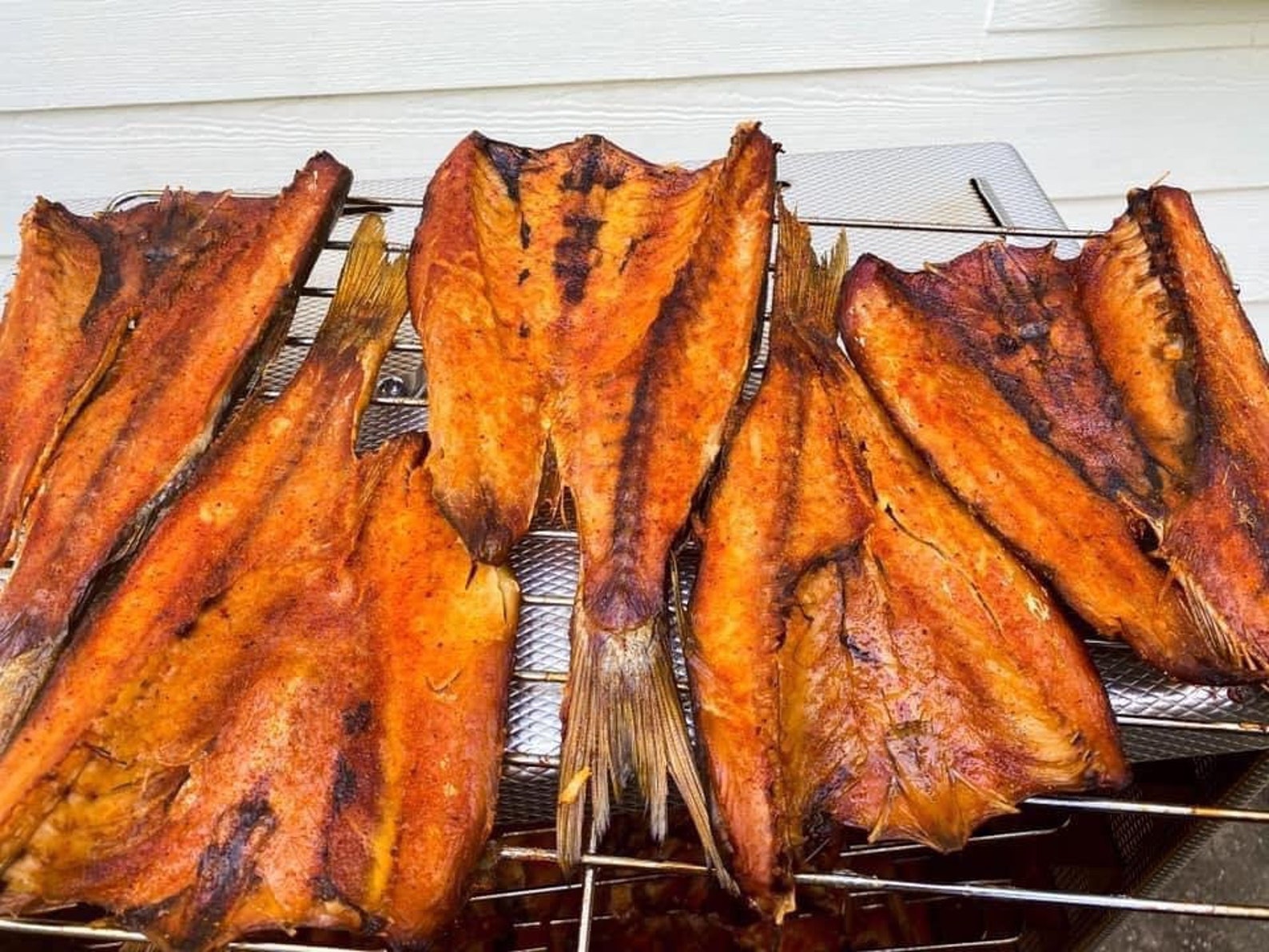 5 Large Premium Smoked Mullet Fish Great Gourmet Gulf Coast Super Pack