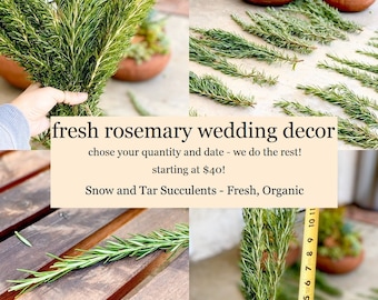 Fresh Rosemary for Wedding Décor Choose Your Quantity Choose Your Date - Fresh Rosemary Sprigs Delivered On Time In Great Condition