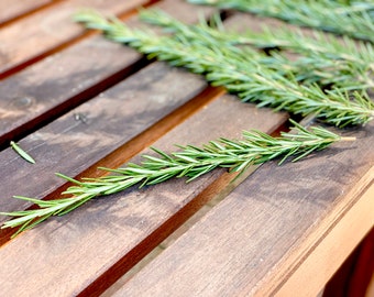 Fresh organic rosemary sprigs for cooking culinary use and dried herbs - 25+ 12” to 16” large rosemary cuttings