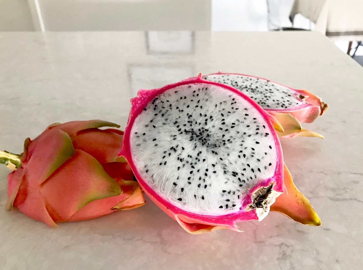 Fixed price for sale Dragon Fruit Plant Cuttings 5 stems pitaya white