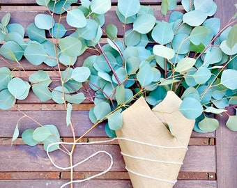 Silver Dollar Eucalyptus Stems 10-12+ 15”+ inches fresh eucalyptus tree stems wedding decor, floral arrangements, party favor decor