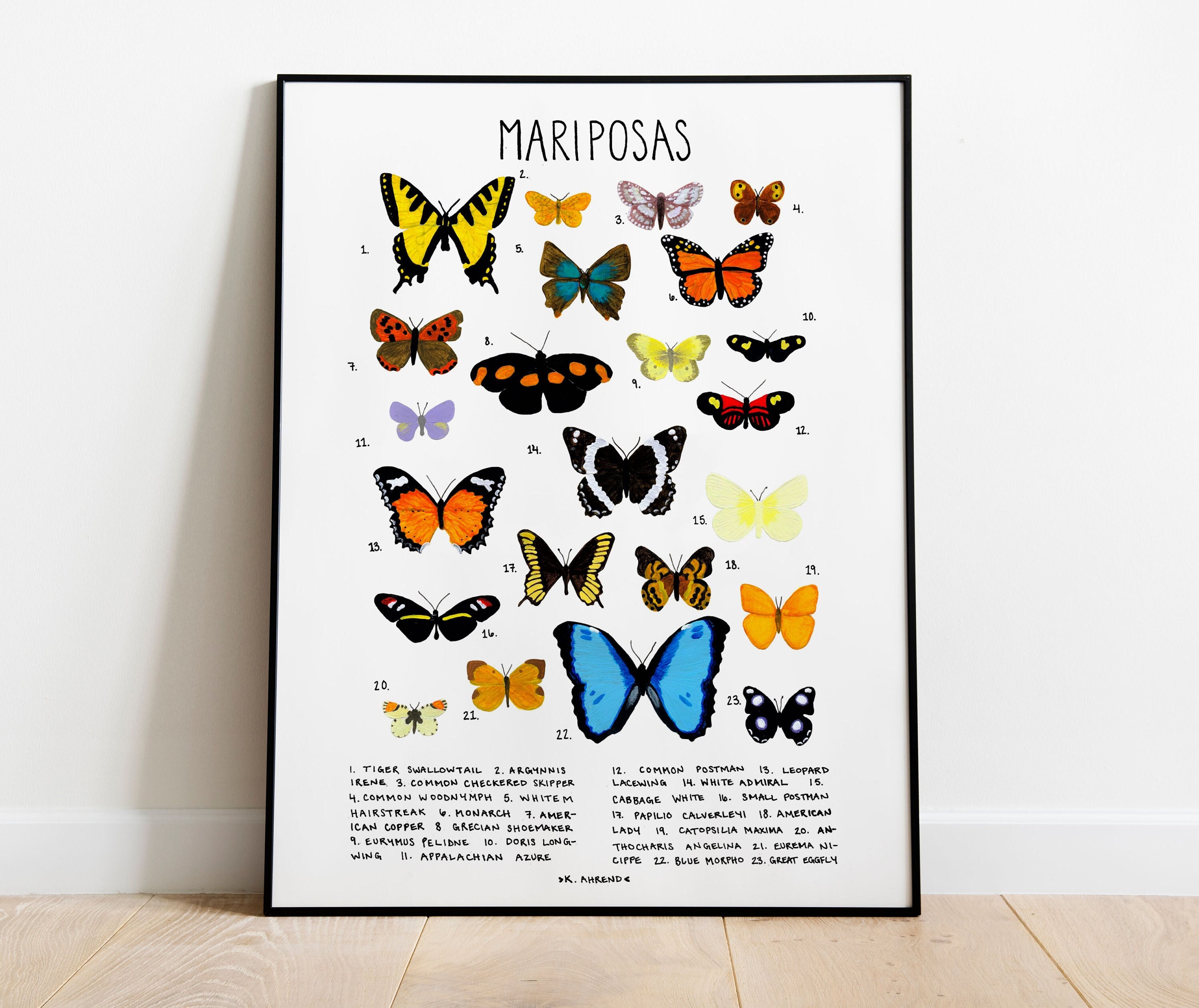 Butterfly Chart For Kids