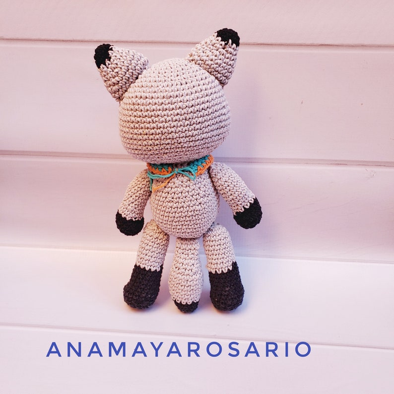 RACOON PATTERN