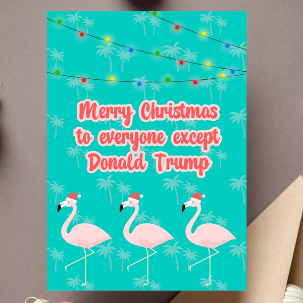 Merry Christmas To Everyone Except Donald J Eric Ivanka Jr Trump Liberal Democrat Pro Choice Vote Blue Wave Leftist Holiday Greeting Card