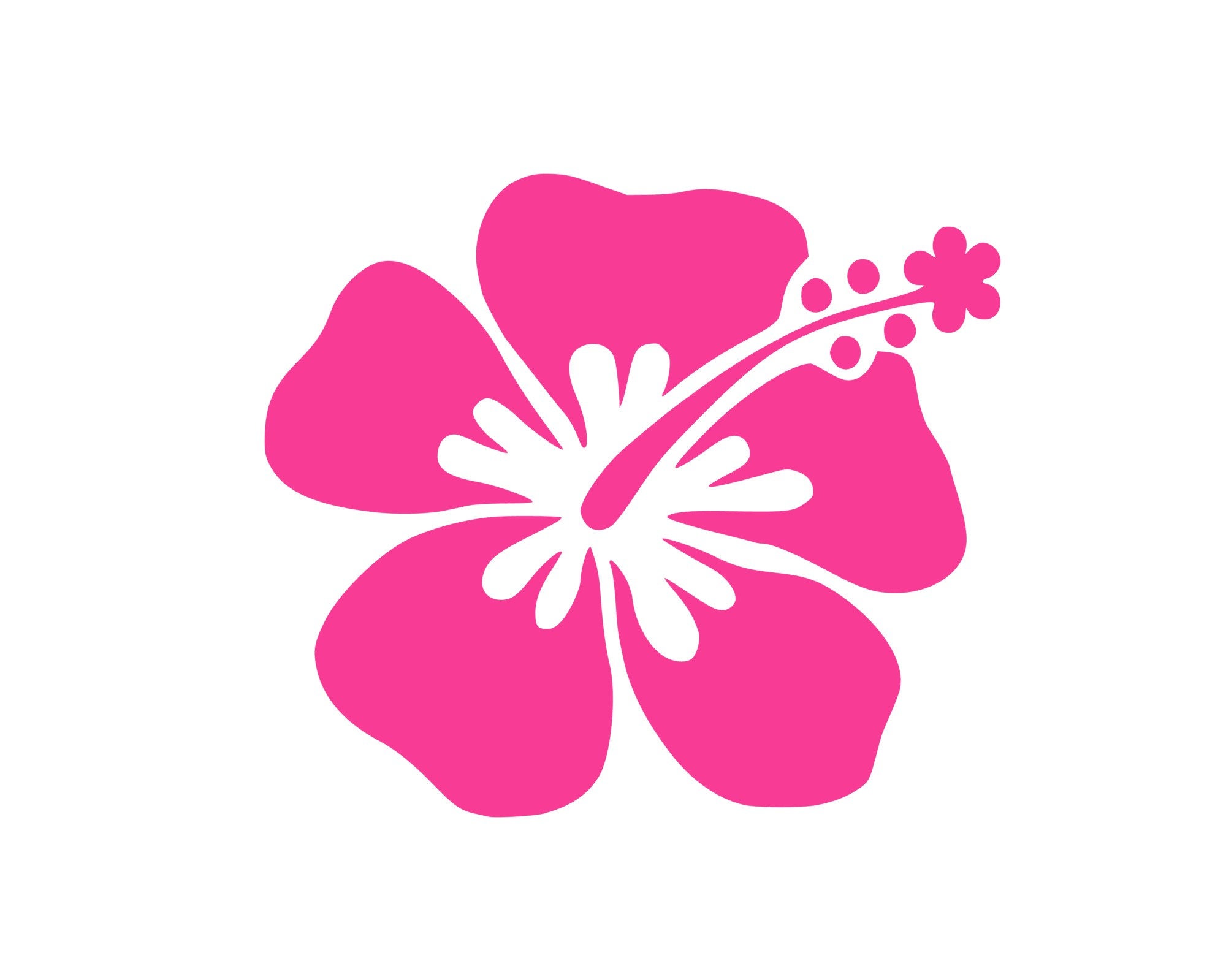 Buy Hibiscus Flower Hood Vinyl Decals for Women, Vinyl Stickers by  Artstudio54 Online in India 