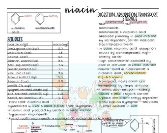ナイアシン（B3）