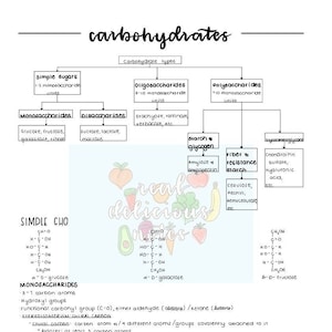 Carbohydrates