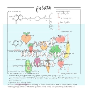 May include: A colorful illustration of a folate molecule with the text "folate" and "delicious notes" in a handwritten font. The illustration includes various fruits and vegetables, including a strawberry, a banana, a tomato, a green pepper, and an avocado. The illustration also includes the chemical structures of folate and its derivatives.