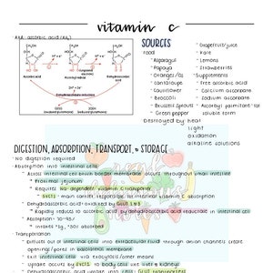 May include: A hand-drawn diagram explaining the chemical structure of vitamin C, also known as ascorbic acid. The diagram shows the chemical formula and the different forms of vitamin C, including ascorbic acid, ascorbyl radical, and dehydroascorbic acid. The diagram also shows the process of how vitamin C is absorbed and transported in the body. The diagram is accompanied by text explaining the sources, digestion, absorption, transport, storage, and functions of vitamin C.