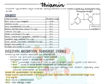 チアミン（B1）