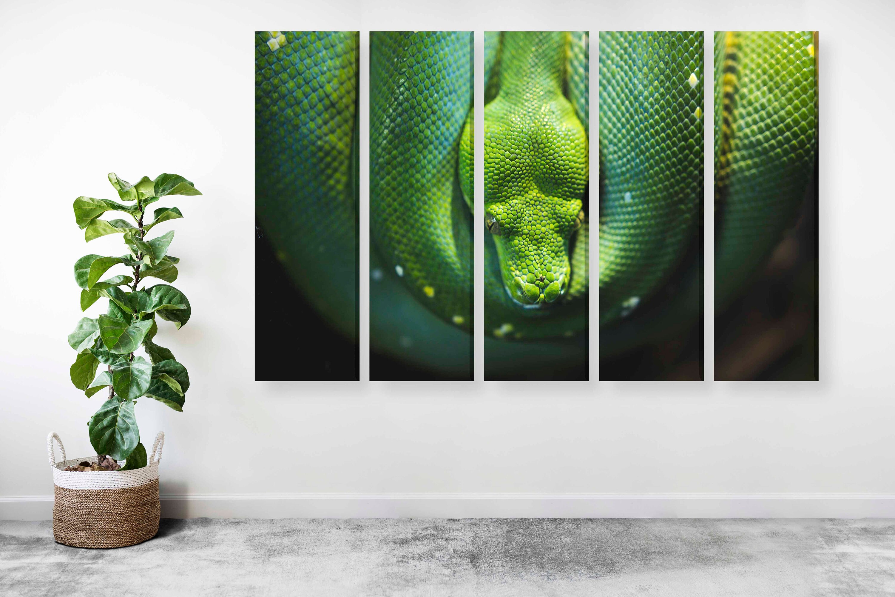 Green snake nature canvas wall art print | Etsy