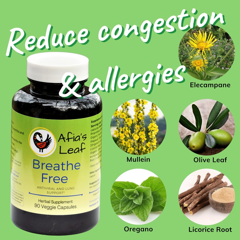 Mullein Licorice Root Congestion & Asthma Herbal Supplement Healthy Lung Function Etsy
