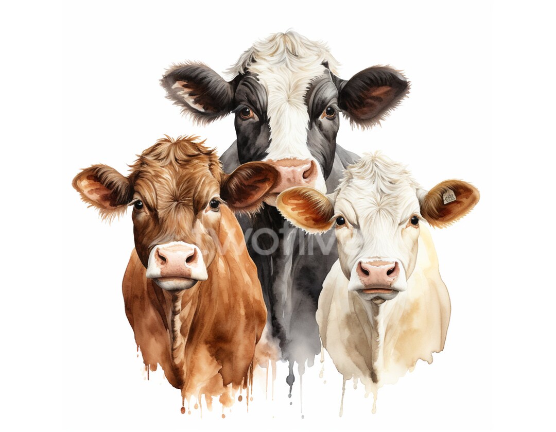 Watercolor Cow Clipart 3 Different Color Horses, White Background High ...