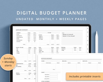 Undated digital budget planner, monthly and weekly budget planner printable, digital financial planner for iPad Pro, student budget notebook