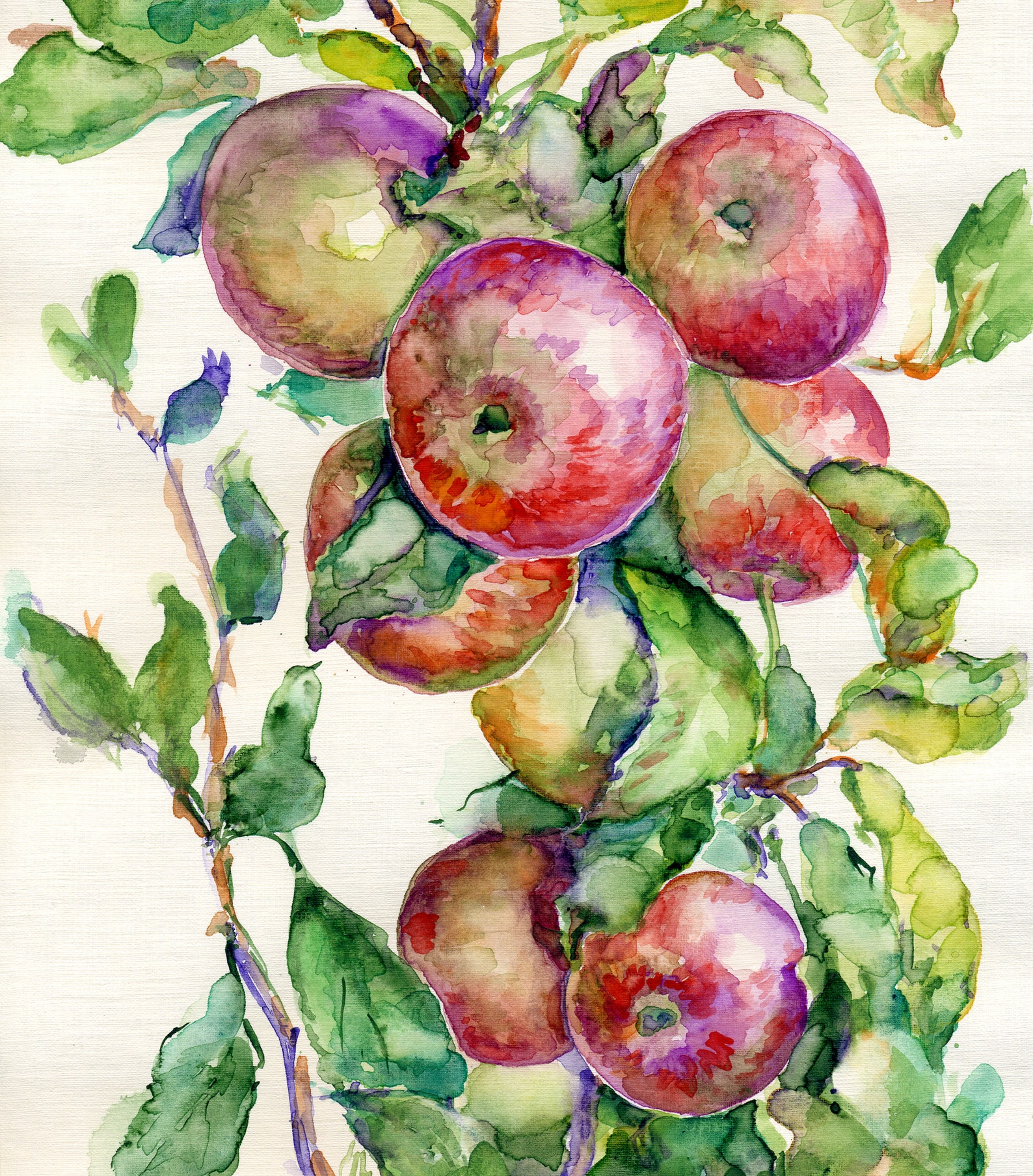 128 Red Apples painting Apple Tree Original watercolor Etsy