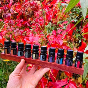 Oils organizer stand for Doterra oils wooden holder for oil bottles essential oils