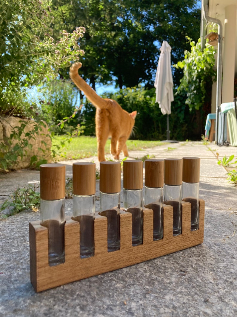 May include: A wooden rack with eight clear glass bottles with bamboo lids. The bottles are arranged in a row and are empty. The rack is sitting on a gray stone surface.