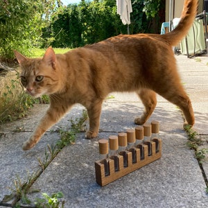 May include: A ginger cat walks past a wooden spice rack with eight glass jars and wooden lids. The rack is on a gray stone patio.