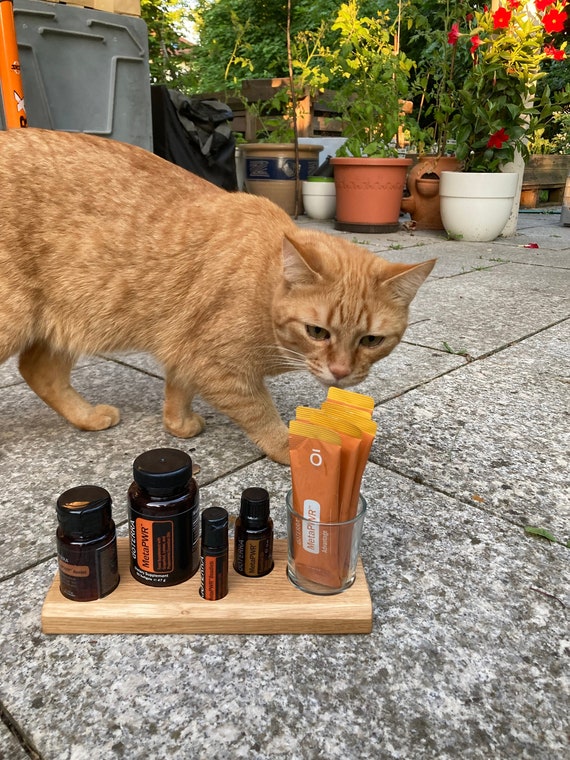 PWR MEGA Power Bank for your doterra kit - with glass container, handmade from oak wood