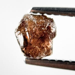 May include: A raw, uncut brown diamond held in tweezers. The gemstone has a crystalline structure and a warm, earthy tone. The diamond is in its natural, raw form, showcasing its unique texture and colour variations.