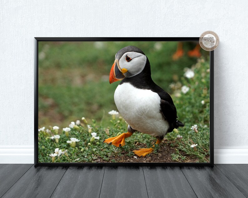 Download A4 A3 A2 A1 Landscape Black Frame Mockup Horizontal Digital | Etsy