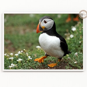 Download A4 A3 A2 A1 Landscape Frame Mockup White Horizontal | Etsy