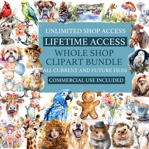 Lifetime Full Store Clipart and Design Access, Unlimited Downloads, Commercial Use Digital Download Graphics, Entire Shop Clipart Bundle