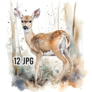 Rehkitz Aquarell Clipart, 12 JPGs für digitalen Download, Kartenherstellung, Clip Art, digitale Collage, digitale Handwerkskunst, niedliche Rehkitz Dateien