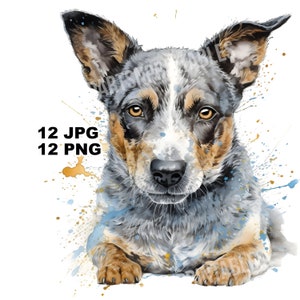 Blue Heeler Dog Clipart, 12 JPG and PNG Files for Digital Download, Card Making, Clip Art, Digital Collage, Digital Crafts Making