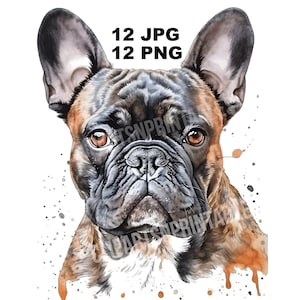 Realistic French Bulldogs Clipart, 12 JPG and PNG Files for Digital Download, Card Making, Clip Art, Digital Collage, Digital Crafts Making