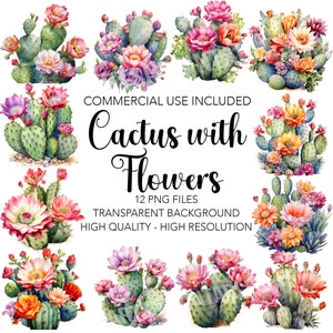 Cactus avec des fleurs des cliparts, 12 PNG de haute qualité fond Transparent - téléchargement numérique, fabrication de cartes, technique mixte numérique fleurs