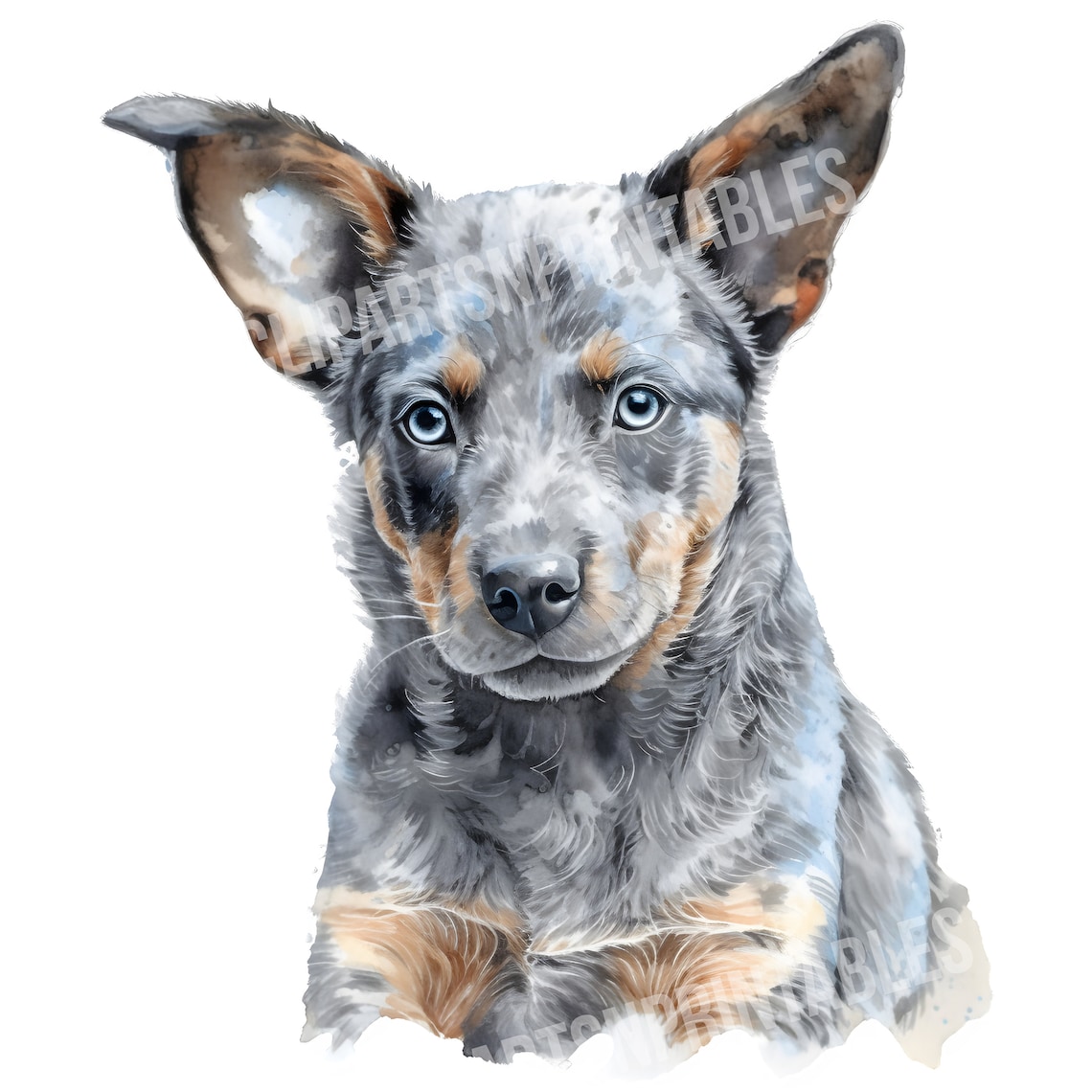 Blue Heeler Dog Clipart, 12 JPG and PNG Files for Digital Download ...