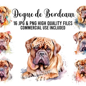 Dogue de Bordeaux Clipart, 16 JPG- en PNG-bestanden voor digitale download, kaart maken, illustraties, digitale collage, digitale ambachten maken