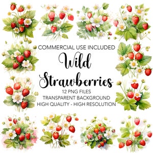 Wild Strawberries Clipart, 12 High Quality Transparent Background PNGs, Digital Download, Fruits Floral Card Making, Mixed Media Craft
