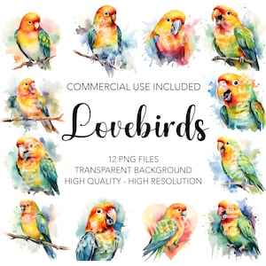 Lovebirds Clipart, 12 High Quality Transparent Background PNGs, Birds Digital Download, Bird Card Making, Mixed Media, Digital Paper Craft