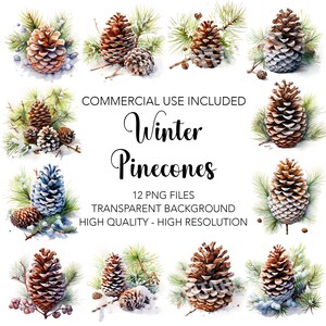 Winter Pincones Clipart - 12 High Quality Transparent Background PNGs - Digital Download - Card Making, Mixed Media, Digital Paper Craft