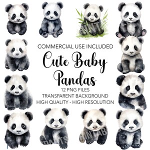 Cute Baby Pandas Clipart - 12 PNGs de fundo transparente de alta qualidade, download digital - Criação de cartões, mídia mista, artesanato em papel digital