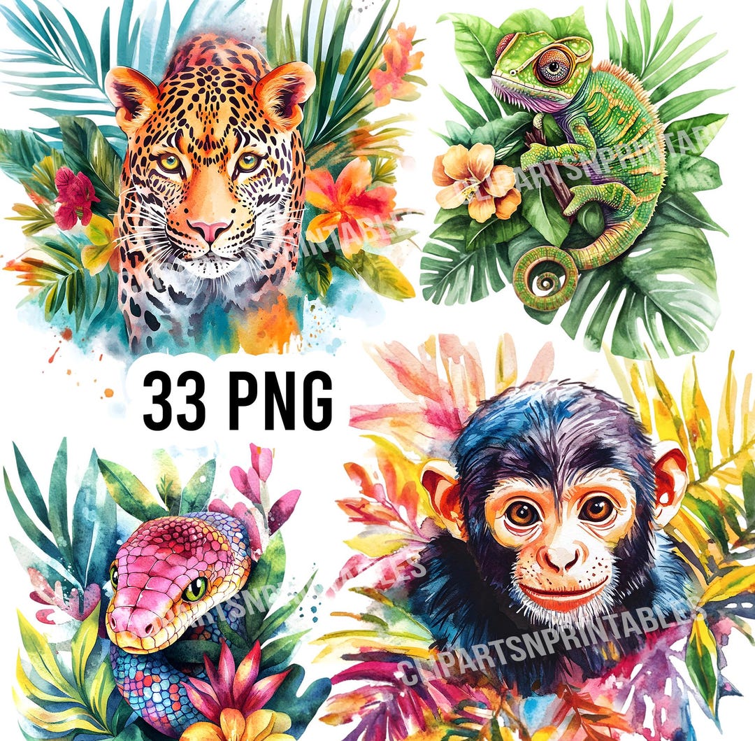 Jungle Animals Clipart, 33 High Quality Transparent Background Pngs ...