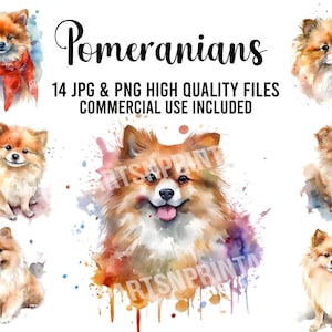 Cute Pomeranians Clipart, 14 JPG and PNG Files for Digital Download, Card Making, Clip Art, Digital Collage, Digital Crafts Making