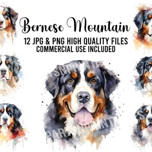 Bernese Mountain Dog Clipart, 12 JPG and PNG Files for Digital Download, Card Making, Clip Art, Digital Collage, Digital Crafts Making