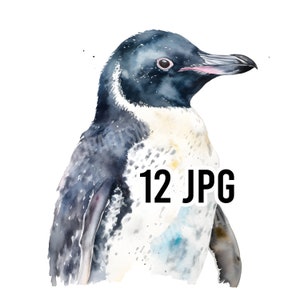 Antarctic Penguins Watercolor Clipart, 12 JPGs for Digital Download, Card Making, Clip Art, Digital Collage, Digital Crafts Making Files
