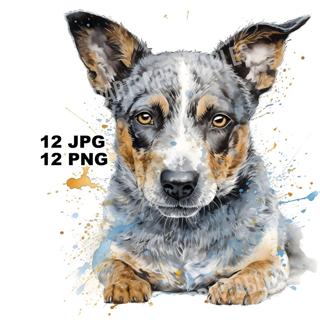 Blue Heeler Dog Clipart, 12 JPG and PNG Files for Digital Download ...