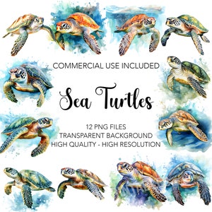 Sea Turtles Clipart  - 12 High Quality Transparent Background PNGs, Digital Download - Card Making, Mixed Media, Digital Paper Craft